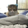 の写真