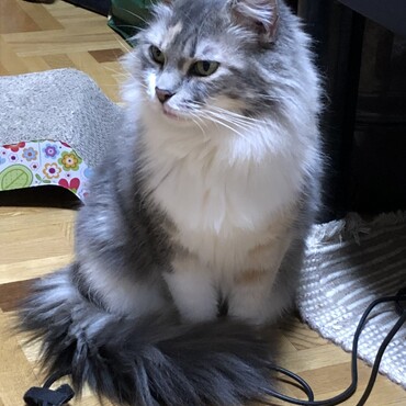 の写真