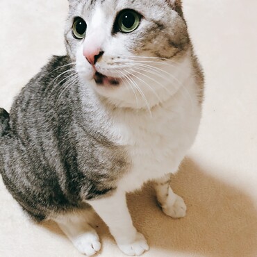 の写真