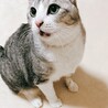 の写真