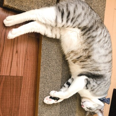 の写真