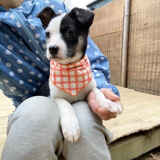 明るく楽しい　ゆいぴー　2ヶ月