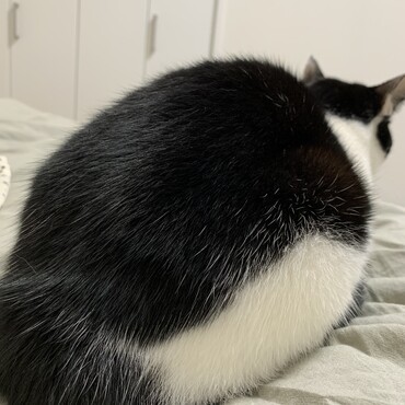 の写真