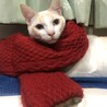 なすがまま