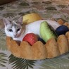 タルト