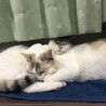 いつも一緒
