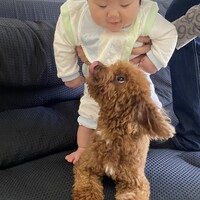 バロン