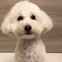 サム