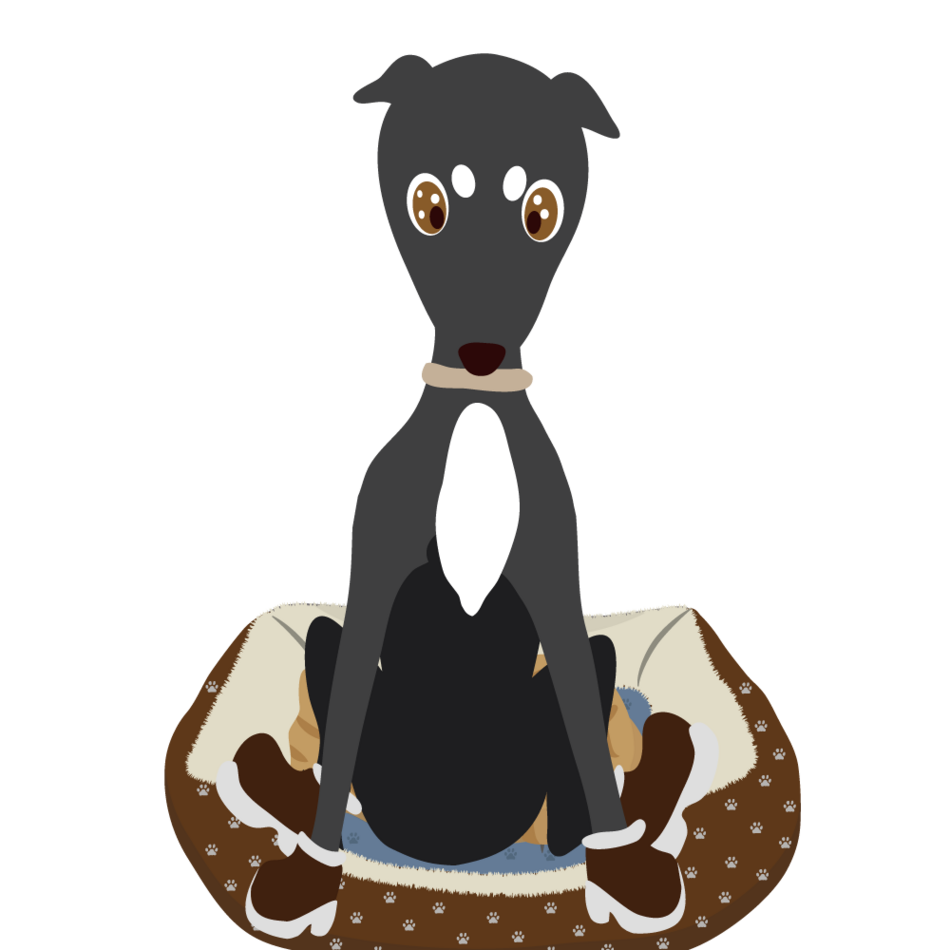 アーティーのカバー写真