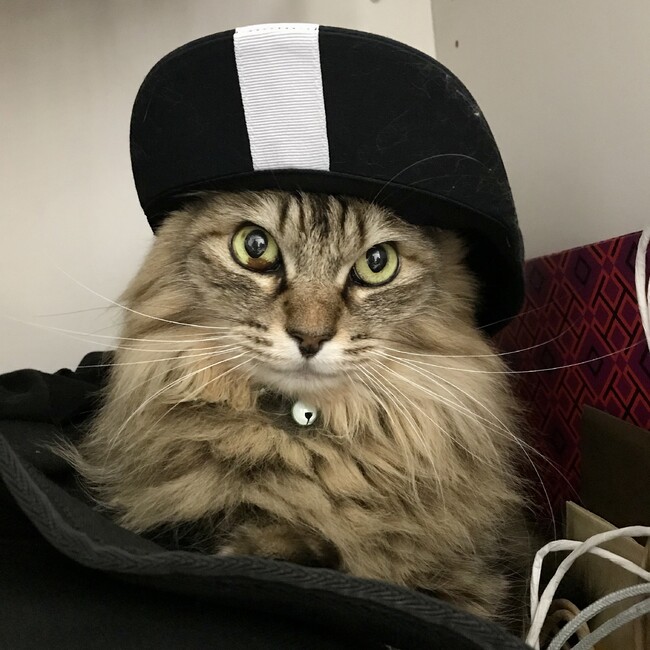 ひー1015のカバー写真