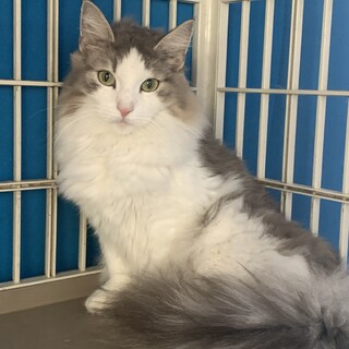 オダギリ。 様お迎え予定