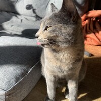 クイ