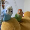 ソラ♡うみ