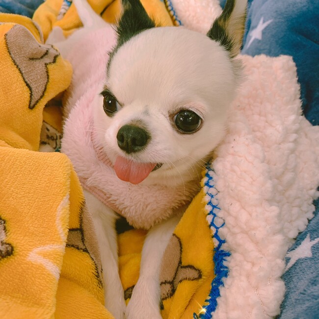 ソラ♡うみのカバー写真