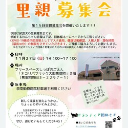 保護犬の里親募集会