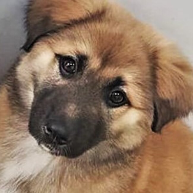 raku のカバー写真