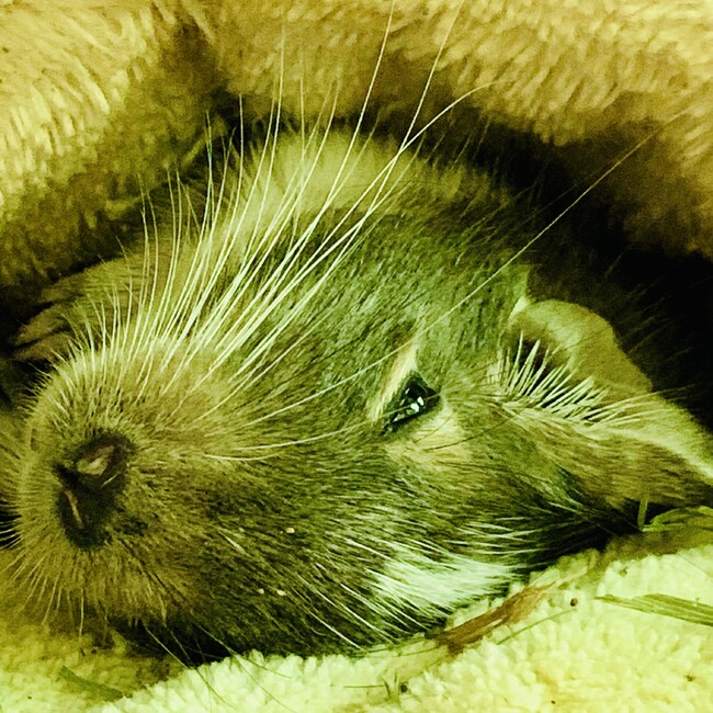 fukakazu2274のカバー写真