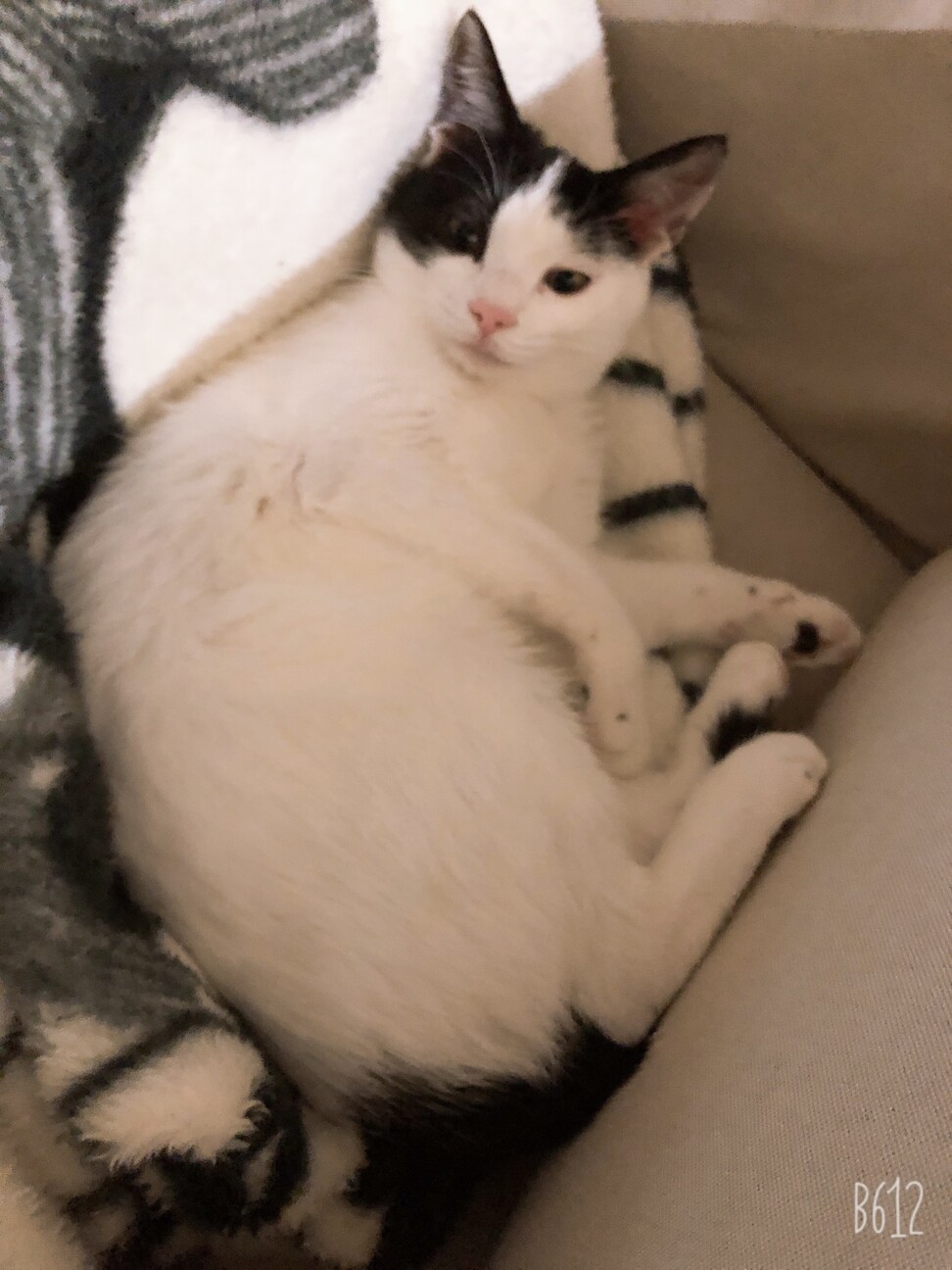 ちー