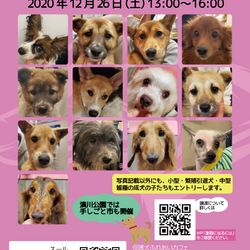 Soeurs譲渡会＆チャリティーミニバザー