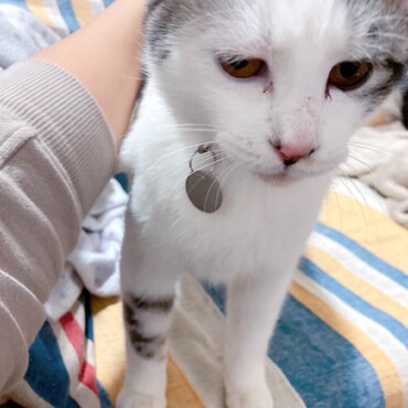 タグ付けました！