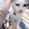 タグ付けました！