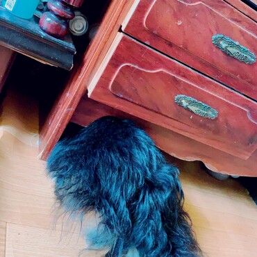 頭隠して尻隠さずw