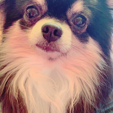 あざと可愛い感じの写真