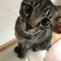 家族にしてあげてくださいm(_ _)m