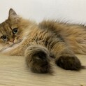 沢山の真心、感謝しております。