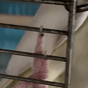 オカメインコの足　ほくろ？？おでき？