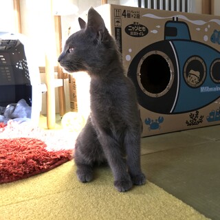 愛知のＩ様に迎えて頂きました