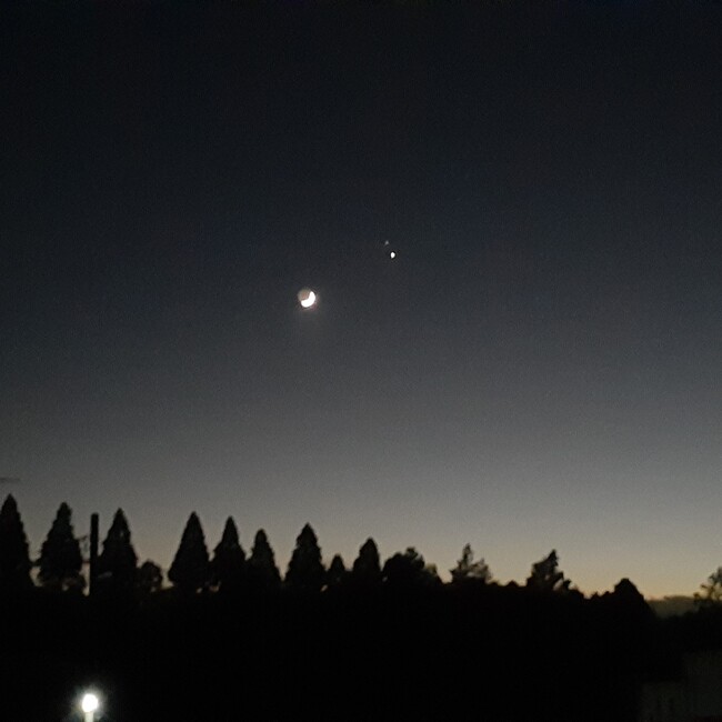 猫山猫三郎のカバー写真