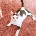 甘えん坊で可愛い冬馬くん！