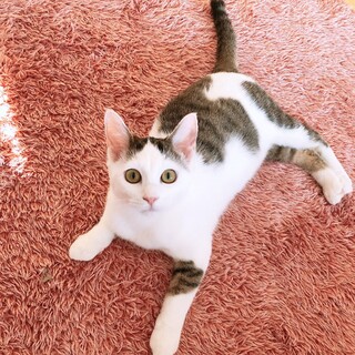 甘えん坊で可愛い冬馬くん！