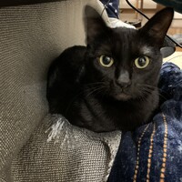 キキ
