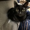 キキ