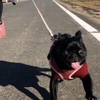 だんご