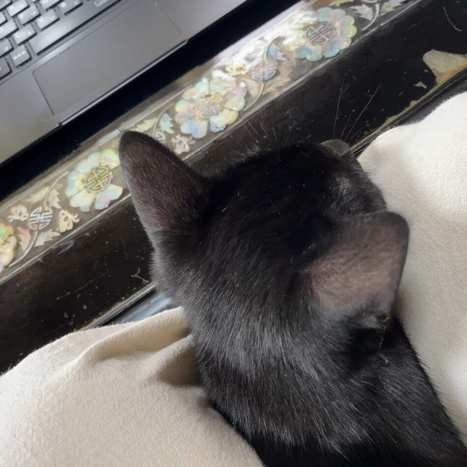 奏楽(そら)のカバー写真