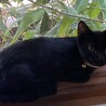 来た時は、まだまだ小さかったんです( ´艸｀)