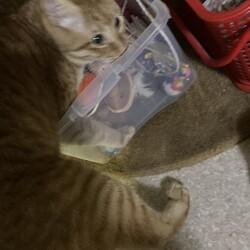 Happy Christmas !! 2020