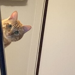 「Happy Christmas !! 2020」サムネイル2