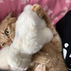 「Happy Christmas !! 2020」サムネイル3