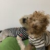 アツやん
