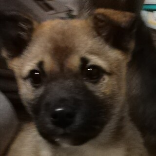 幸せにして下さる方を探しています