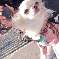 齋藤あき