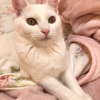 レオナ