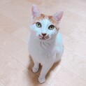 心優しき助松くん！