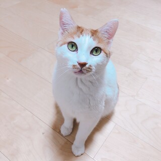 心優しき助松くん！