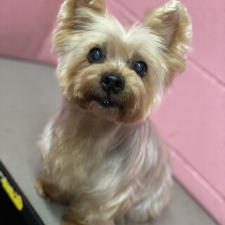 i20-965　とっても甘えん坊♪