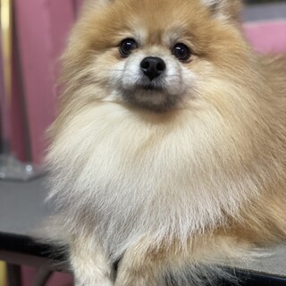 i20-M964　大人しい子です！！